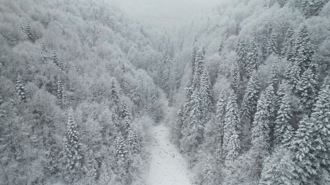 Kastamonu Da Kar Ve Sisle Bulu An Ormanlar Dronla G R Nt Lendi H Rs Z