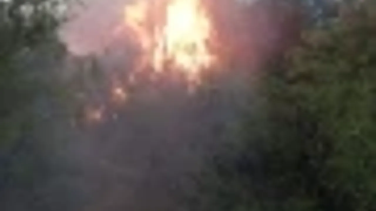 Tokat Niksar’daki  orman yangını söndürüldü