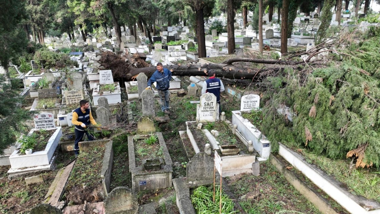 Zonguldak ve Düzce'de fırtınada devrilen ağaçlar mezarlara zarar verdi