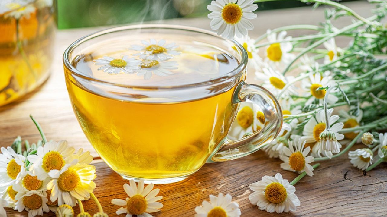 Papatya Çayının Sağlık Üzerindeki Bilinen ve Şaşırtıcı Faydaları
