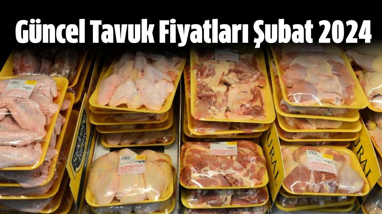 Güncel Tavuk Fiyatları Şubat 2024 Tavuk Kanat ve İncik Eti Fiyatı Ne
