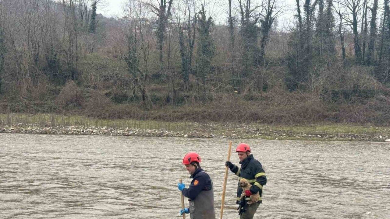 Dere yatağında mahsur kalan yavru köpek kurtarıldı