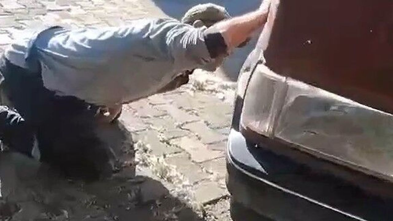 Tokat'ta Otomobil Motoruna Gizlenen Yılan Ekipleri Alarma Ge
