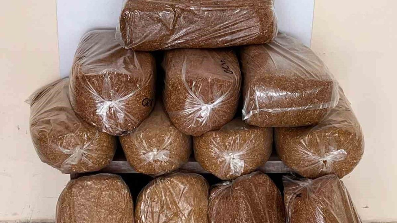 Bafra'da 60 kilo kaçak tütün ele geçirildi
