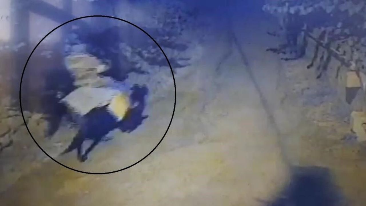 Yaşlı çifti öldürdükten sonra atla kaçan sanığa iki kere ağı