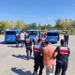Köpekleri dövüştürüp sosyal medyada paylaştılar, jandarma ekiplerince operasyonla yakalandılar