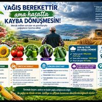 Tokat