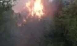 Tokat Niksar’daki  orman yangını söndürüldü