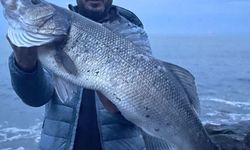 Akçakoca'da amatör balıkçı 8 kilogram ağırlığında levrek yakaladı