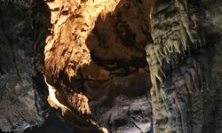 DOSYA HABER/TÜRKİYE'NİN MAĞARALARI - Yeni yangıç türü bulunan Gökgöl Mağarası, bilim dünyasına yeni keşiflerin kapılarını aralıyor
