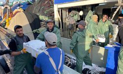 Düzce ve Zonguldak'ta balıkçılar kasalar dolusu hamsi avladı