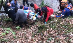 Karabük'te kaybolan Alzheimer hastası 1 gün sonra ormanlık alanda bulundu