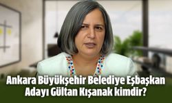 Ankara Büyükşehir Belediye Eşbaşkan Adayı Gültan Kışanak kimdir?