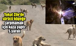 Tokat Zile'de sürücü köpeğe çarpmamak için kaza yaptı: 5 yaralı