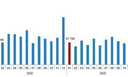 TÜİK, konut satış istatistiklerini duyurdu. Ocak 2024'te Tokat'ta kaç konut satıldı?