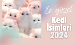 En güzel ve orjinal kedi isimleri 2024