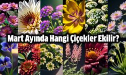 Mart ayında hangi çiçekler ekilir?