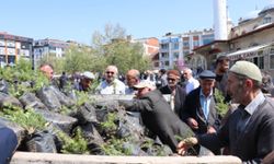 Havza Belediyesi vatandaşlara 1500 fidan dağıttı
