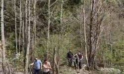 Artvin’de ağaçta mahsur kalan yavru ayı kurtarıldı