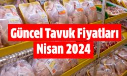 Güncel Tavuk Fiyatları Nisan 2024 Tavuk Kanat ve İncik Eti Fiyatı Ne Kadar?