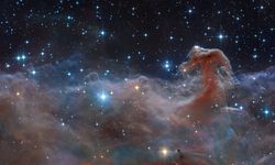 Evrende Yeni Bir Keşif: NASA, Atbaşı Bulutsusu'nun Gizemli Yapısını Açığa Çıkarıyor!