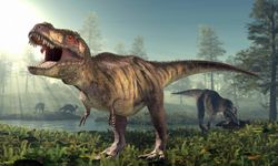 T-rex Dinozorlarının Davranışları, Zekaları Hakkında Yanıltıcı Olabilir