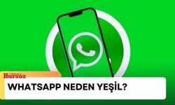 WhatsApp neden yeşil? WhatsApp bildirimi neden yeşil, neden maviden yeşile döndü?