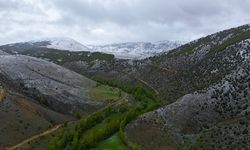 Bayburt ve Gümüşhane'nin yüksek kesimlerinde kar yağışı