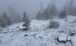 Bolu, Düzce, Sakarya ve Karabük'ün yüksek kesimlerine kar yağdı