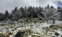 Bolu'nun yüksek kesimlerine kar yağdı