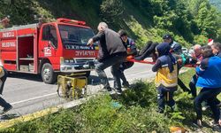 Kastamonu'da meşrubat yüklü kamyonetin devrilmesi sonucu 2 kişi yaralandı