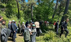 Sinop protokolü ormanları temizledi
