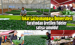 Tarım şehri Tokat'ta Üniversite desteğiyle fide satışları başladı!