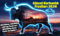 Güncel Kurbanlık Fiyatları 2024! Büyükbaş, küçükbaş canlı kg fiyatı ne? Büyükbaş hisse fiyatı ne kadar?