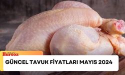 Güncel Tavuk Fiyatları Mayıs 2024 Tavuk Kanat ve İncik Eti Fiyatı Ne Kadar?