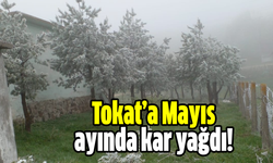 Tokat’a Mayıs ayında kar yağdı!