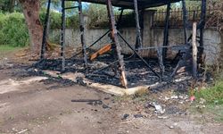 Düzce'de Kültür Park alanındaki kulübede çıkan yangın söndürüldü