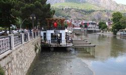 Amasya’da Yeşilırmak Nehri’nde balık ölümleri: Balık tutanlar ‘zehirli olabilir’ diye uyarıldı