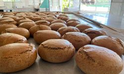Geçmişi 10 bin yıl öncesine dayanan siyezden yapılan ekmekler, diyabet hastalarından büyük ilgi görüyor