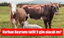 Kurban Bayramı tatili 9 gün olacak mı?