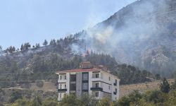 Amasya'da otluk alanda çıkıp ormana sıçrayan yangına müdahale ediliyor