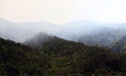 Kastamonu'da çıkan orman yangınına ekiplerin müdahalesi sürüyor