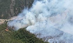 Karabük’te yıldırım orman yangınına neden oldu