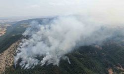 Kastamonu’daki orman yangını sürüyor: Havadan görüntülendi