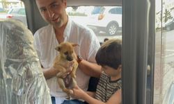 Konya’da otomobilin motor kısmına giren yavru köpeği itfaiye kurtardı