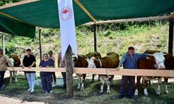 Sinop’ta 265 köylüye 40 milyon TL ferdi kredi desteği