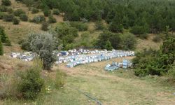 Türkiye’nin ilk milli parkında “Bal Ormanı” oluşturuldu