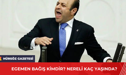 Egemen Bağış Kimdir? Nereli Kaç Yaşında?