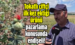 Tokatlı çiftçi ilk kez ektiği ürünü pazarlama konusunda endişeli!