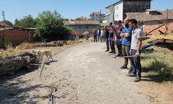 Amasya'da bağlandığı kamyonetin peşinde sürüklenen köpek tedaviye alındı